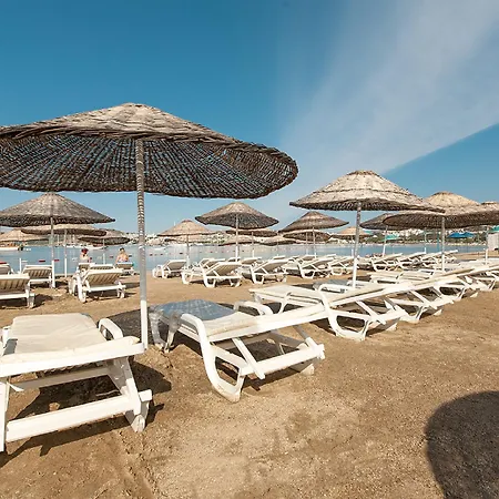 Bodrum 검벳